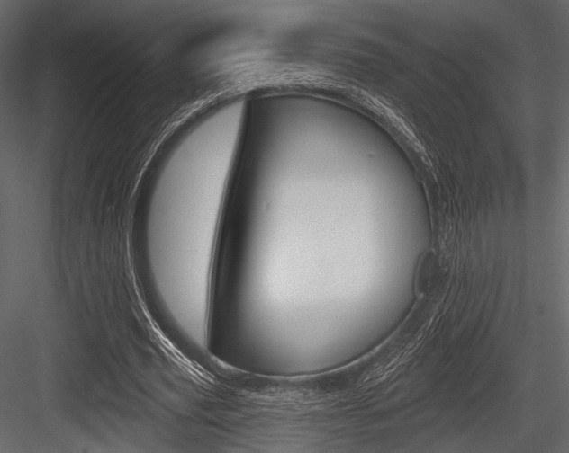 X0000084540629200702230909