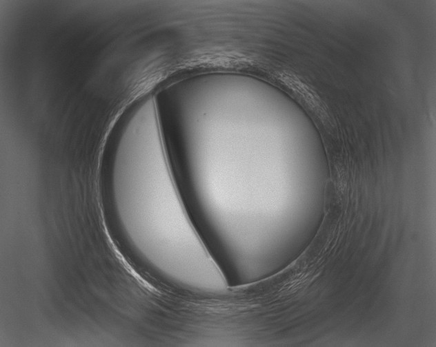 X0000084540630200702230909