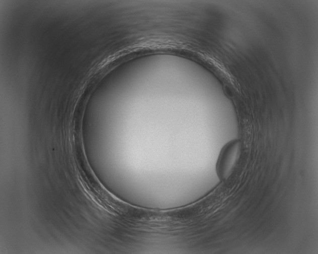 X0000084540631200702230909