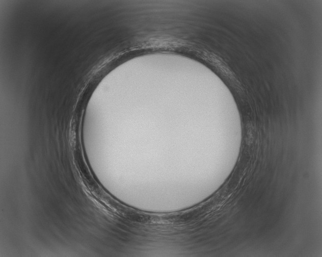 X0000084540632200702230909