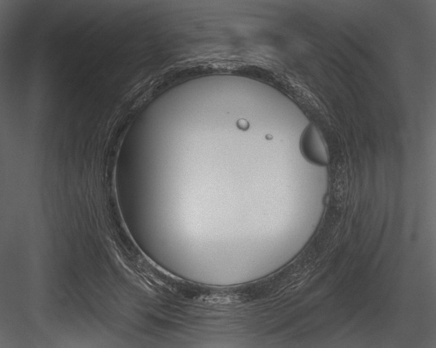 X0000084540639200702230909