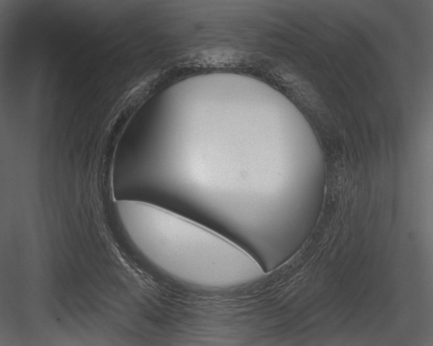X0000084540640200702230909