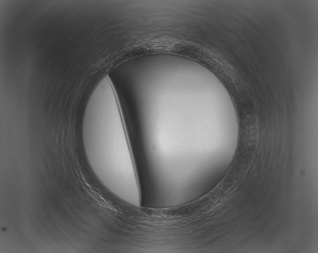 X0000084540641200702230909