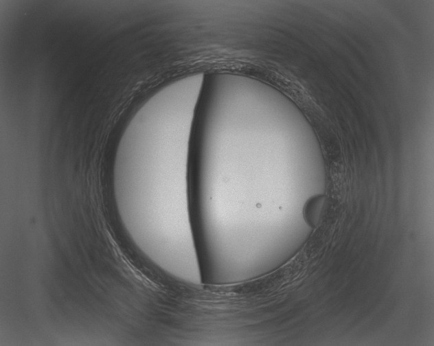 X0000084540642200702230909
