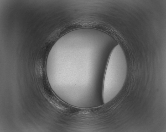 X0000084540644200702230909