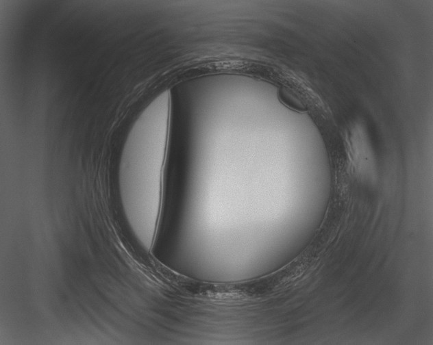 X0000084540645200702230909