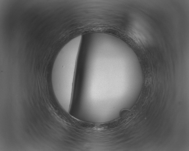X0000084540647200702230909