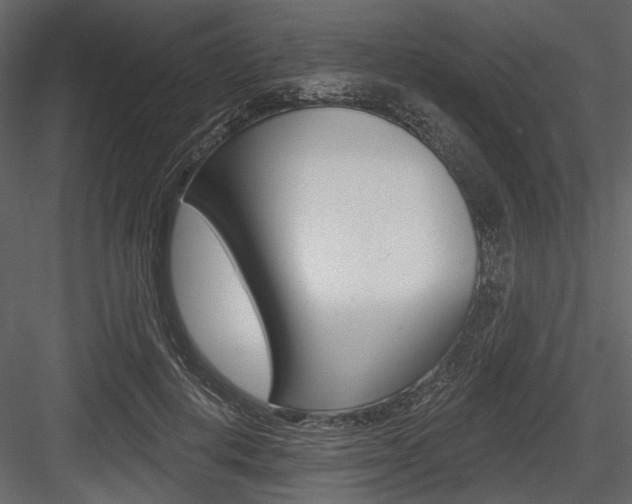 X0000084540648200702230909