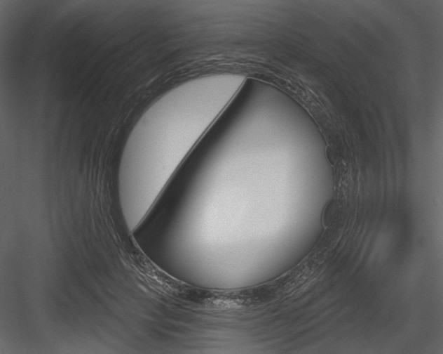 X0000084540649200702230909