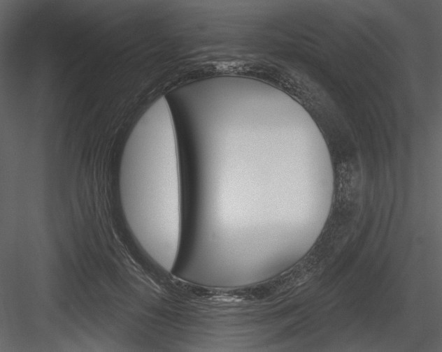 X0000084540650200702230909