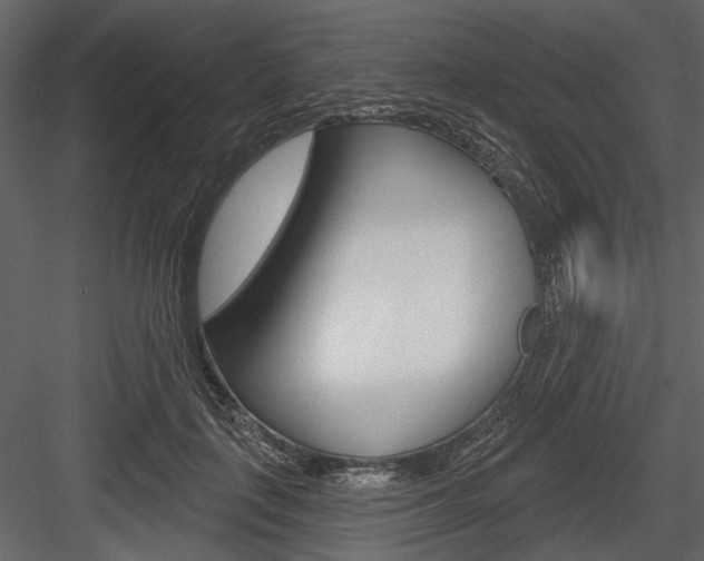 X0000084540651200702230909