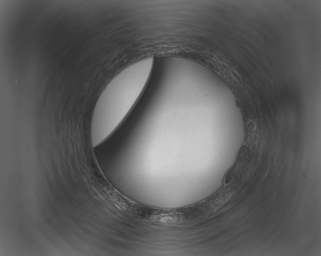 X0000084540655200702230910