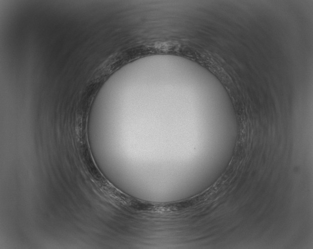 X0000084540656200702230910