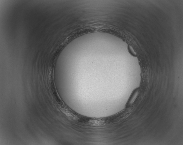 X0000084540660200702230910