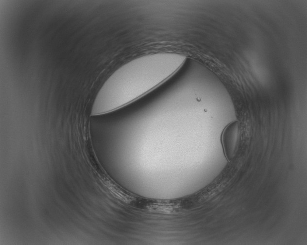 X0000084540661200702230910