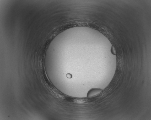 X0000084540662200702230910