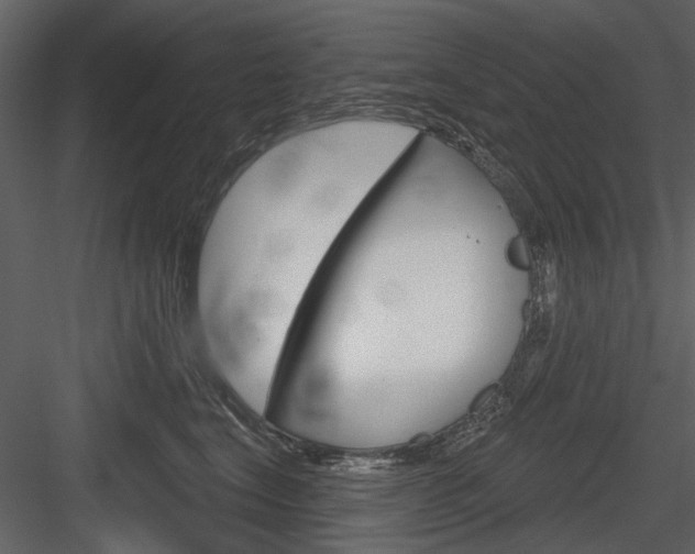 X0000084540664200702230910