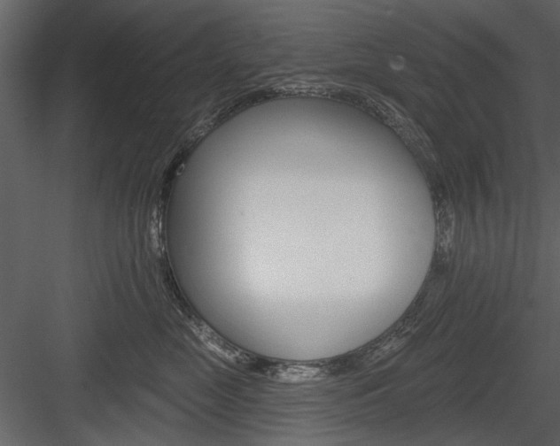 X0000084540669200702230910