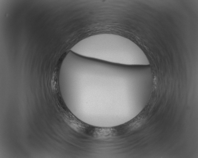 X0000084540671200702230910