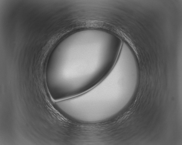 X0000084540673200702230909