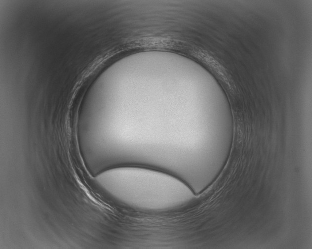 X0000084540674200702230909
