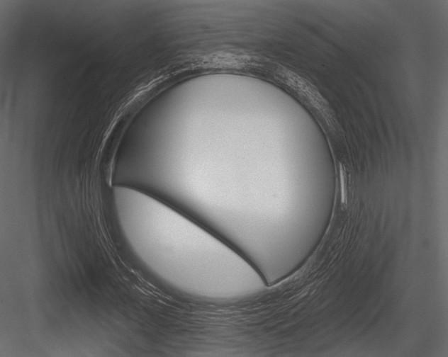 X0000084540675200702230909