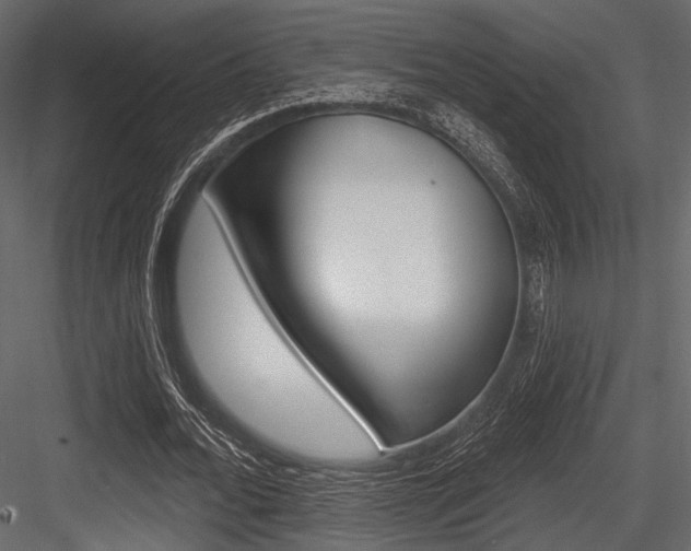 X0000084540676200702230909