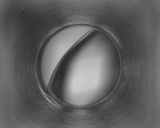 X0000084540677200702230909
