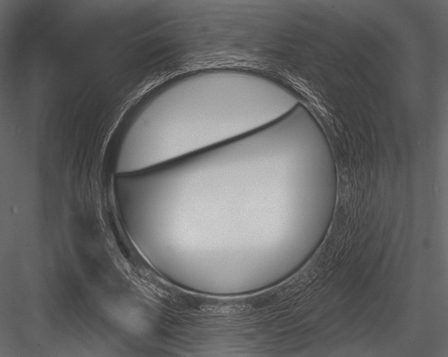 X0000084540679200702230909