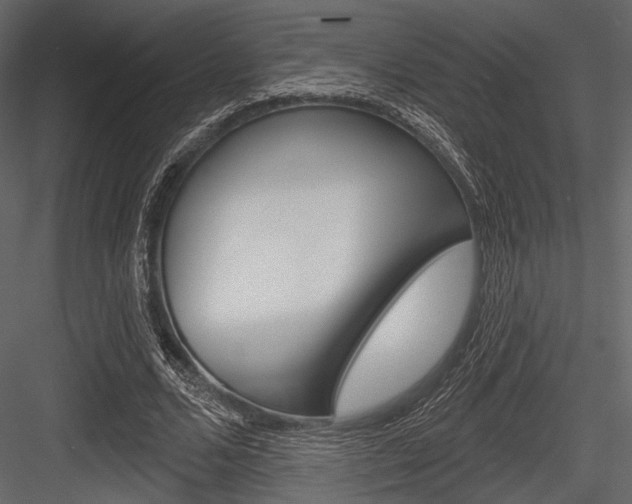 X0000084540680200702230909