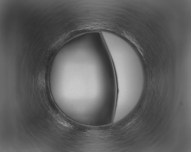 X0000084540681200702230909