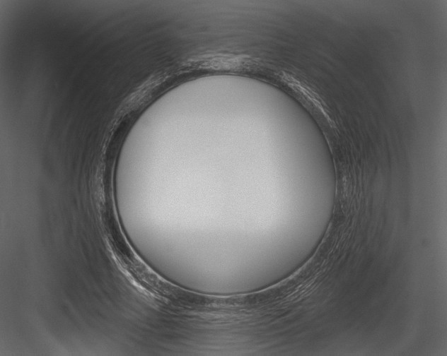 X0000084540682200702230909