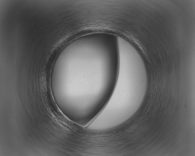 X0000084540684200702230909