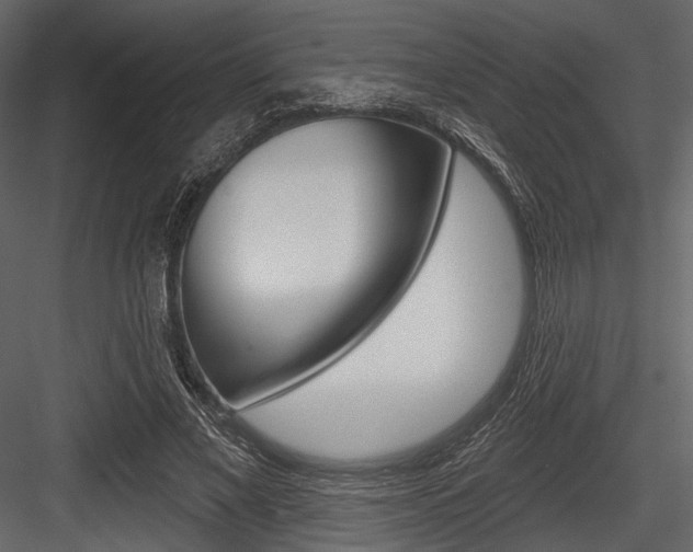 X0000084540685200702230909