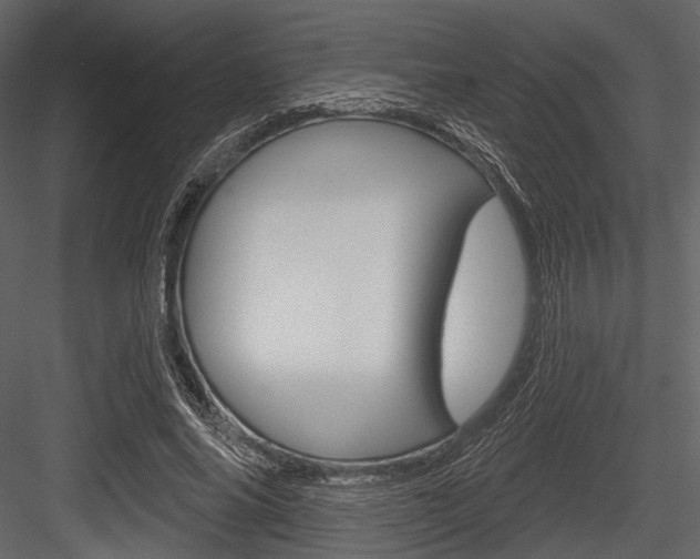 X0000084540686200702230909