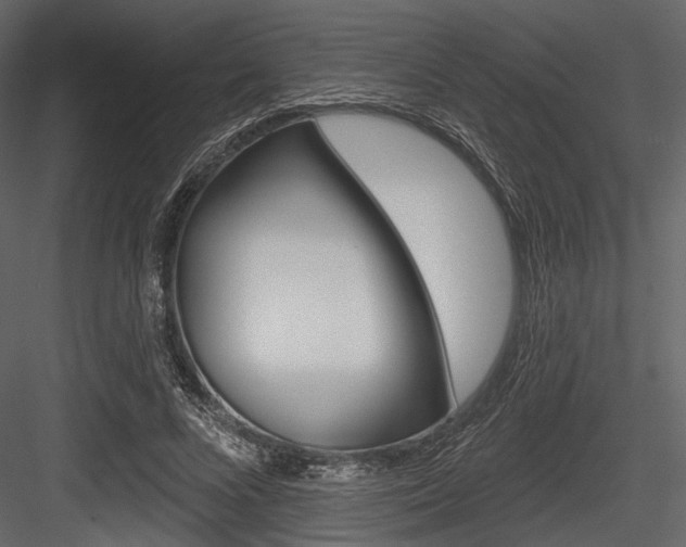 X0000084540688200702230909