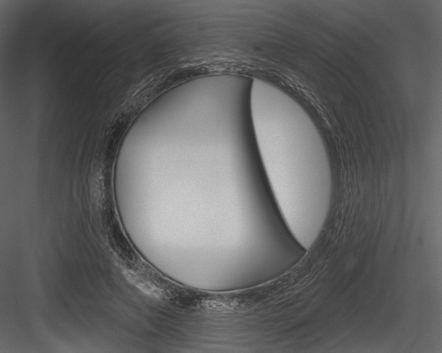 X0000084540690200702230909