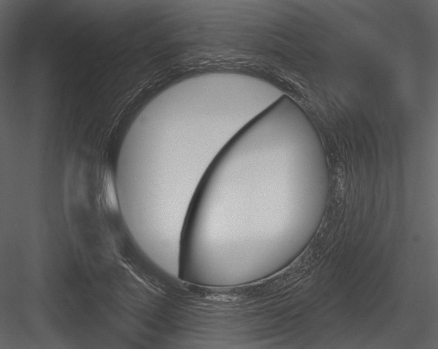 X0000084540691200702230909