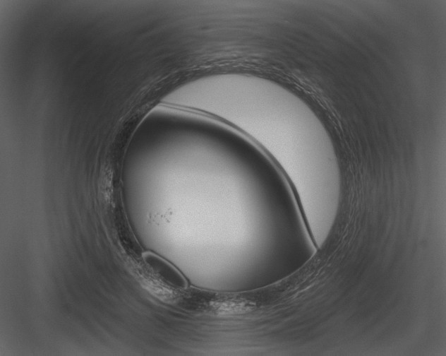 X0000084540693200702230909