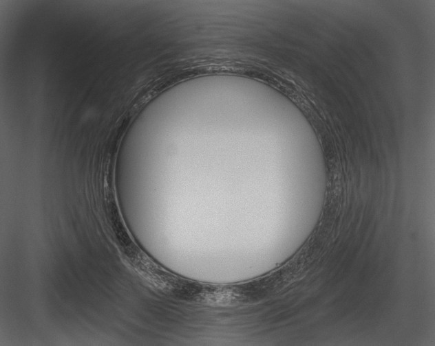 X0000084540695200702230909