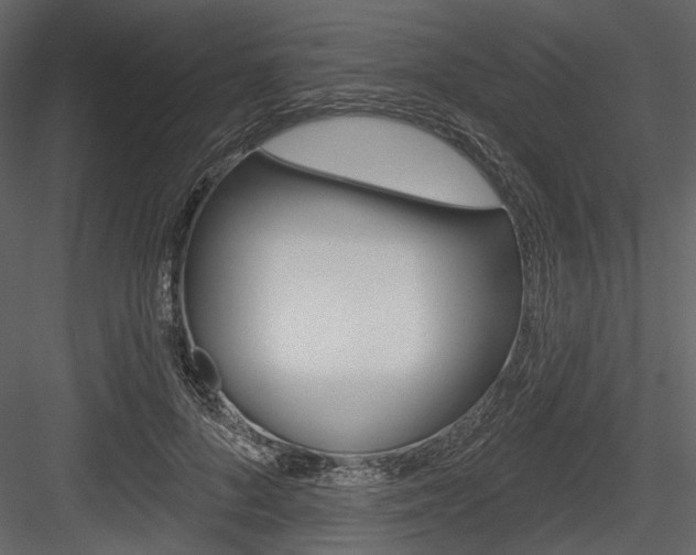 X0000084540696200702230909