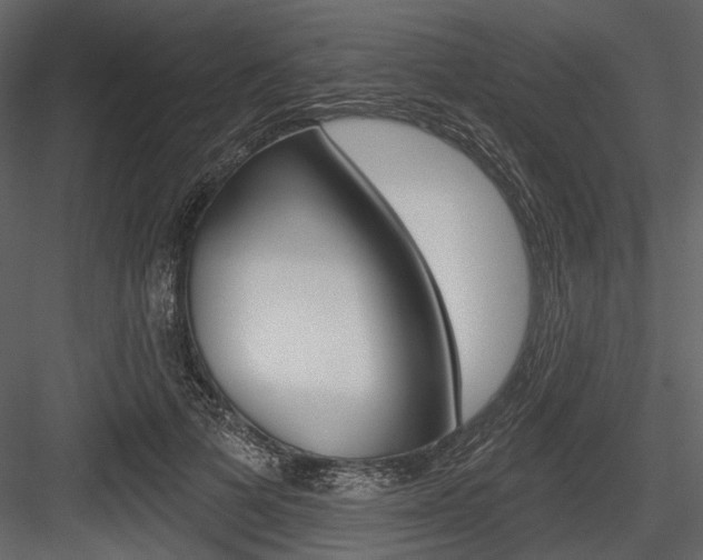 X0000084540697200702230909