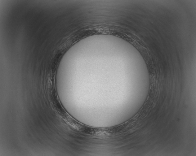 X0000084540702200702230909