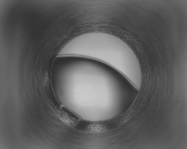 X0000084540704200702230908