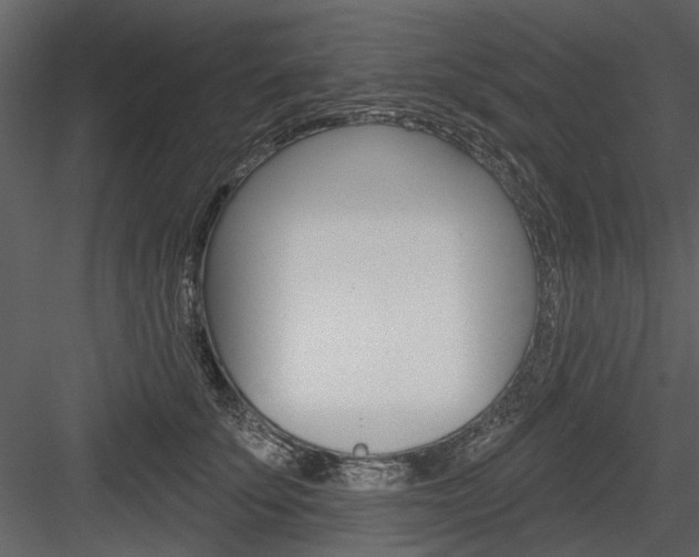 X0000084540707200702230908