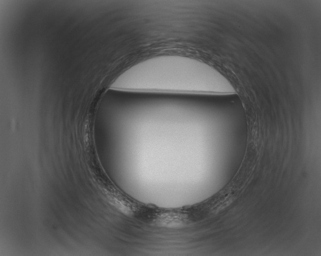 X0000084540708200702230908