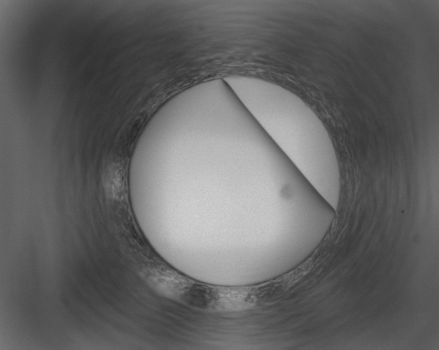 X0000084540709200702230908