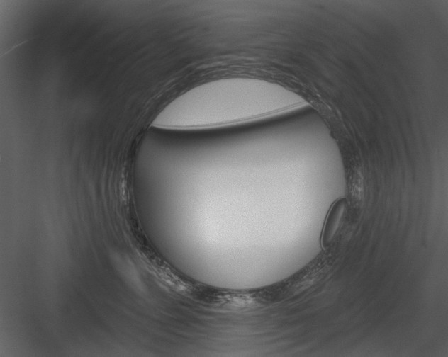 X0000084540715200702230908