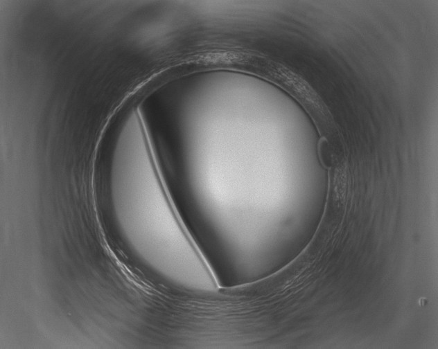 X0000084540722200702230907
