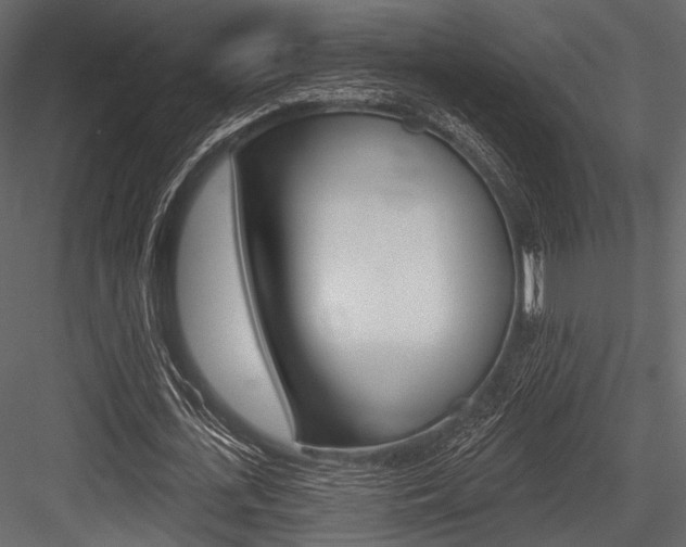 X0000084540723200702230907